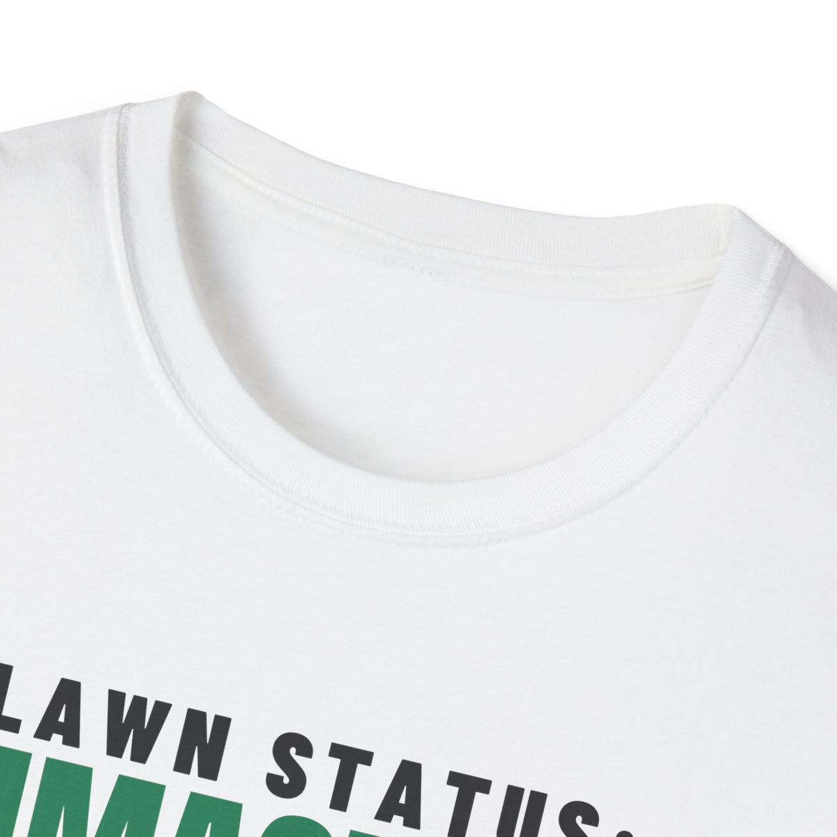 Lawn Status Immaculate Funny Dad Lawn Care T-Shirt – Gifted Porch, view 4