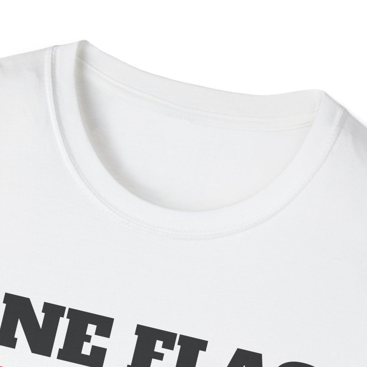 One Flag Many Heroes Patriotic T-Shirt – Gifted Porch, view 4