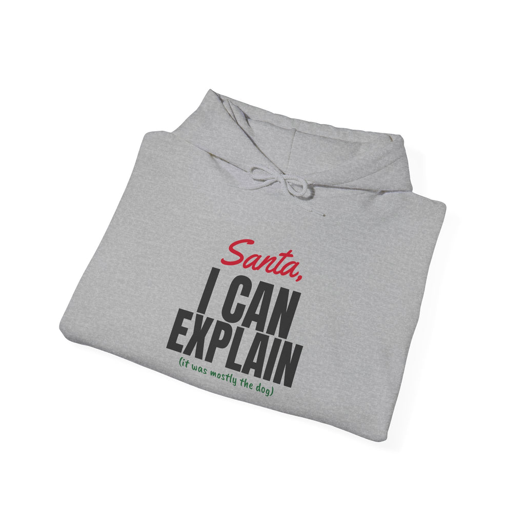 Santa I Can Explain Christmas Hoodie – Christmas gift, photo 15