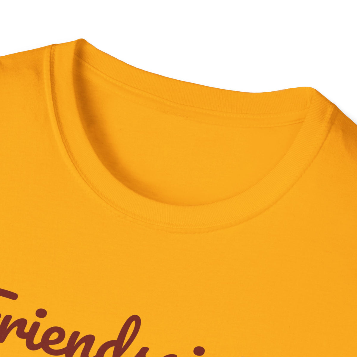 Friendsgiving Plus One Funny Fall T-Shirt – Gifted Porch, view 15