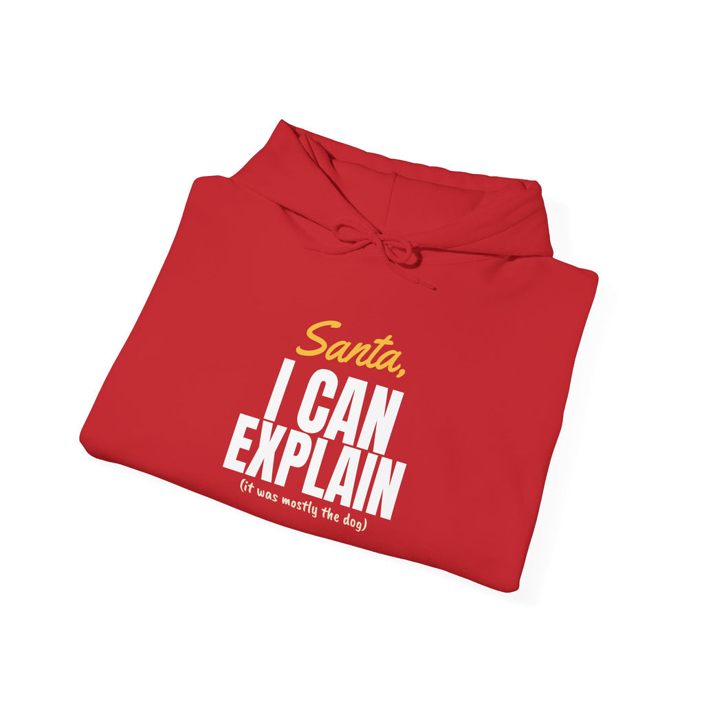 Santa I Can Explain Christmas Hoodie – Christmas gift, photo 24