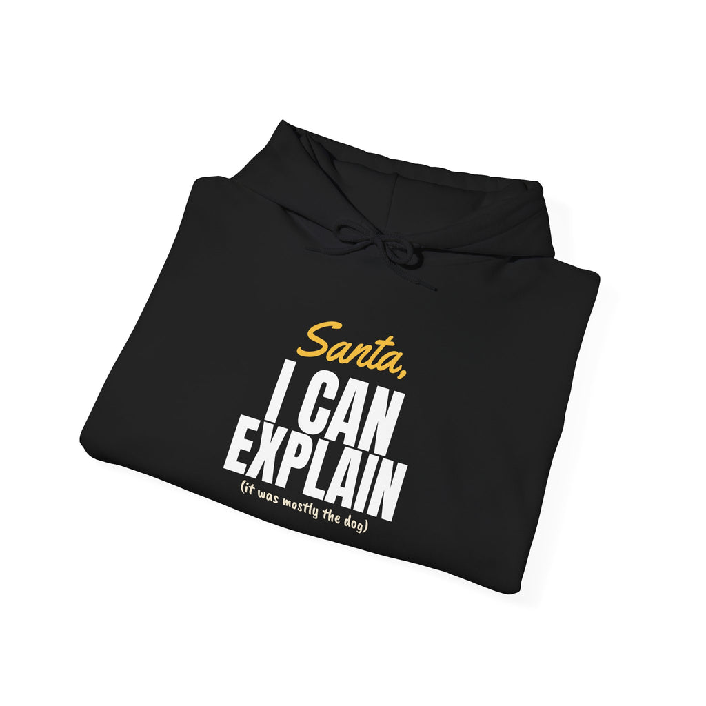 Santa I Can Explain Christmas Hoodie – Christmas gift, photo 12