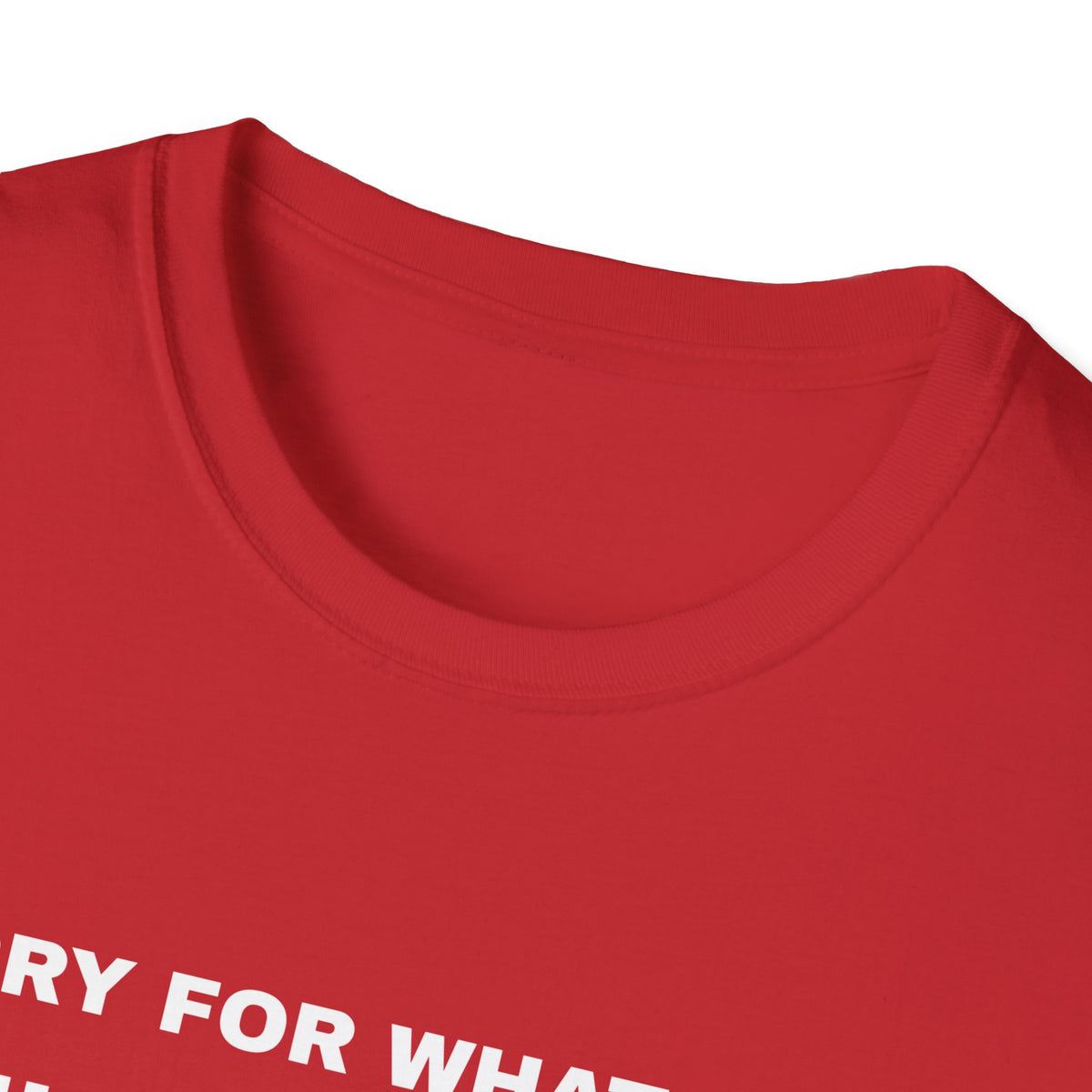 Sorry For What I Said While Assembling The Toys Shirt – Gifted Porch, view 16