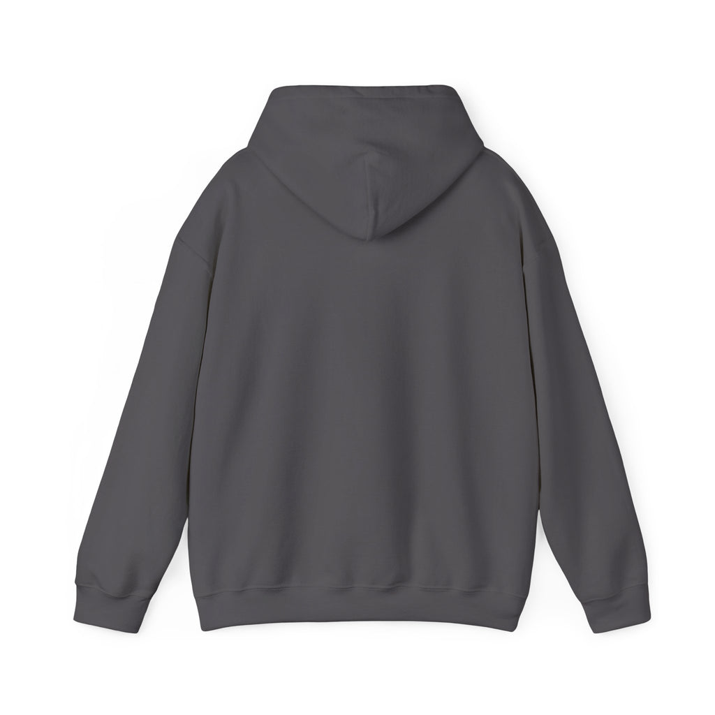 American Bald Eagle Hoodie