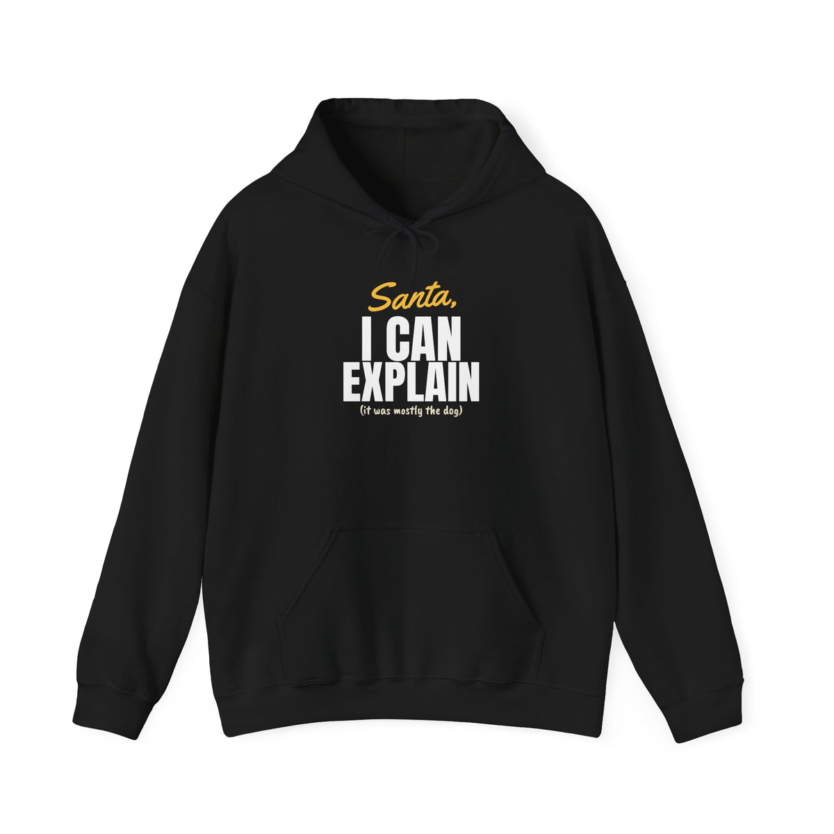 Santa I Can Explain Christmas Hoodie