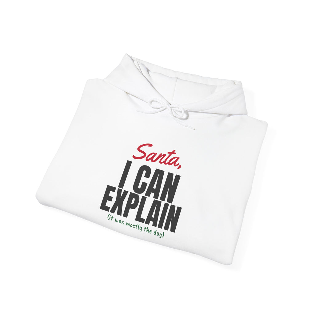 Santa I Can Explain Christmas Hoodie – Christmas gift, photo 9