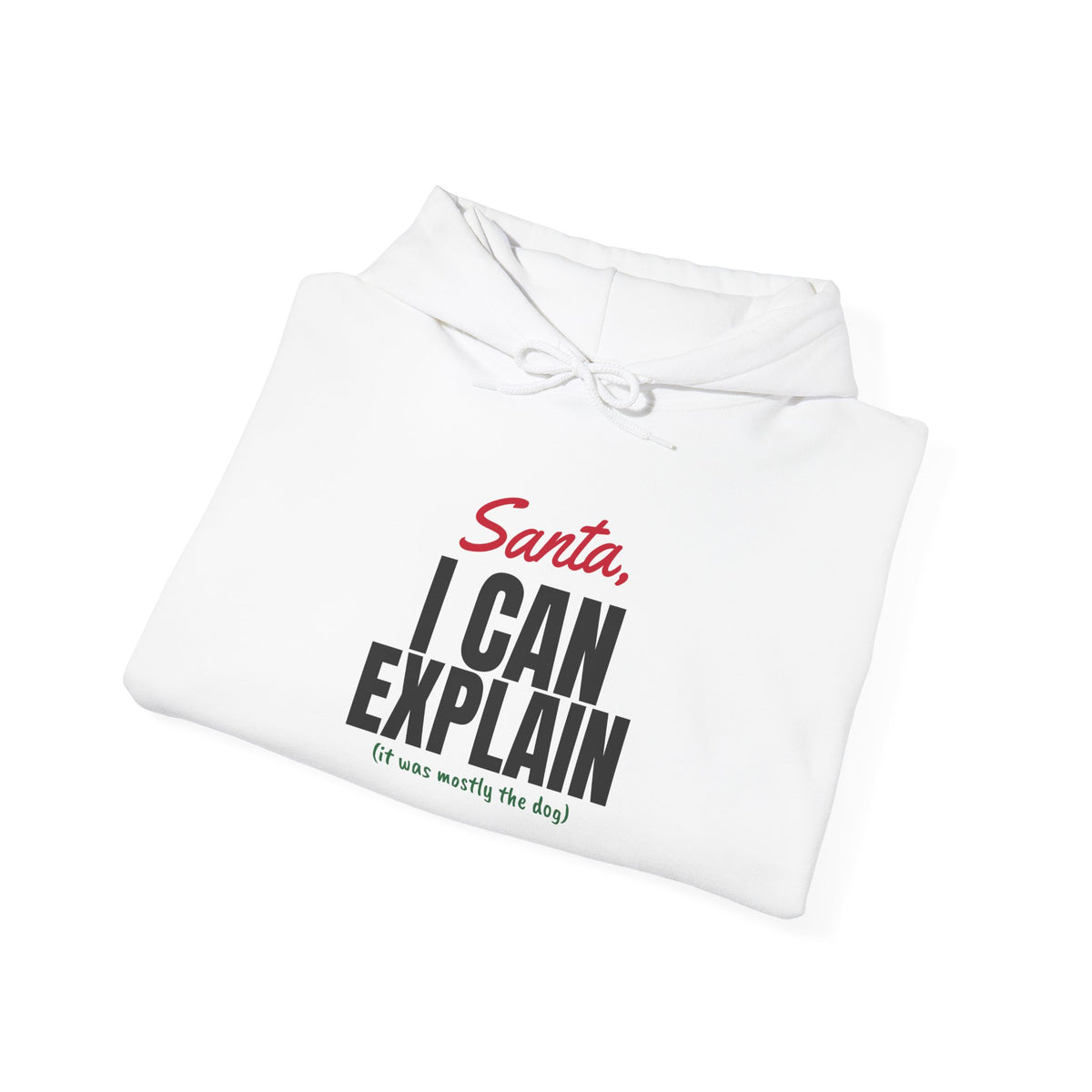 Santa I Can Explain Christmas Hoodie