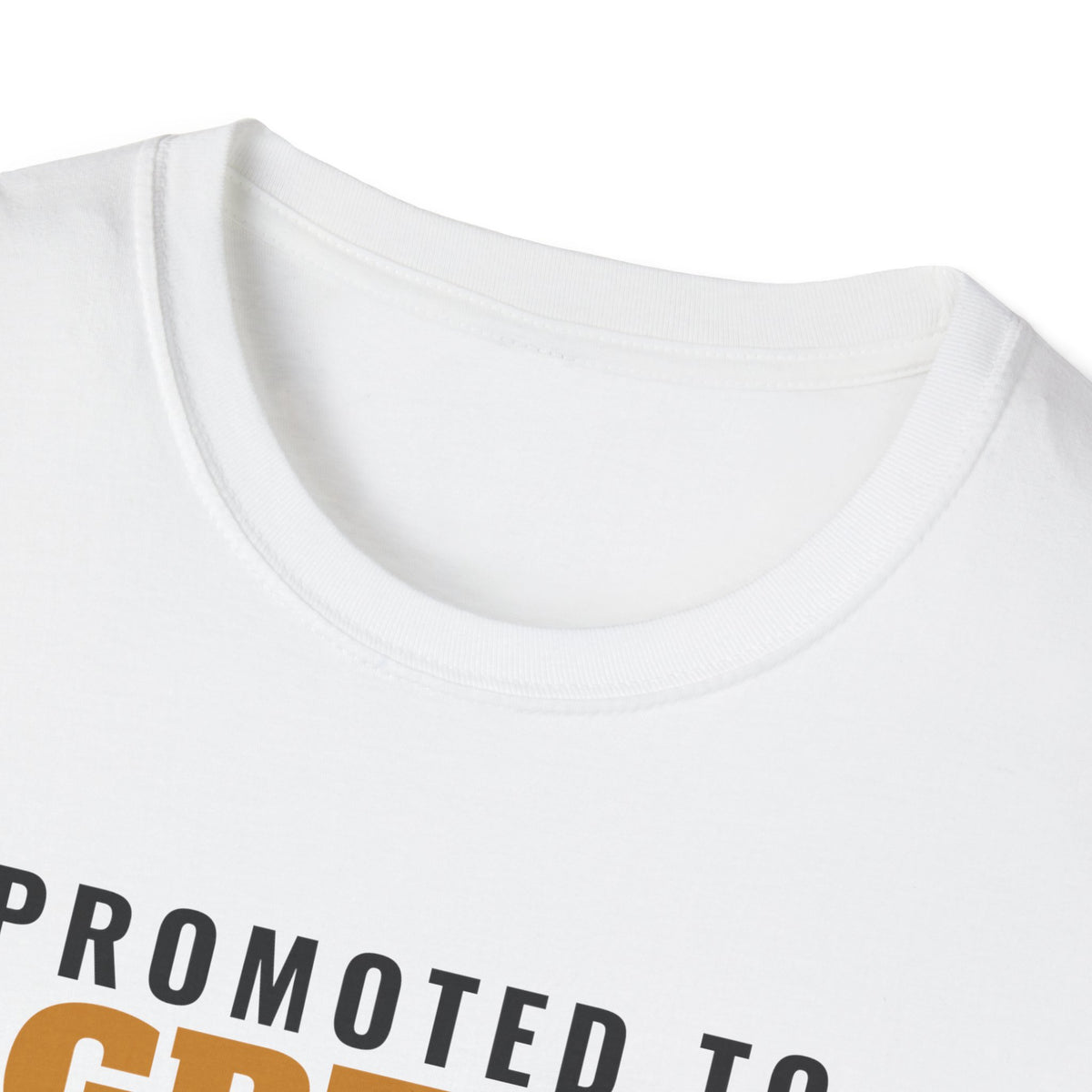 Promoted To Great Grandpa Est 2027 T-Shirt – Gifted Porch, view 4