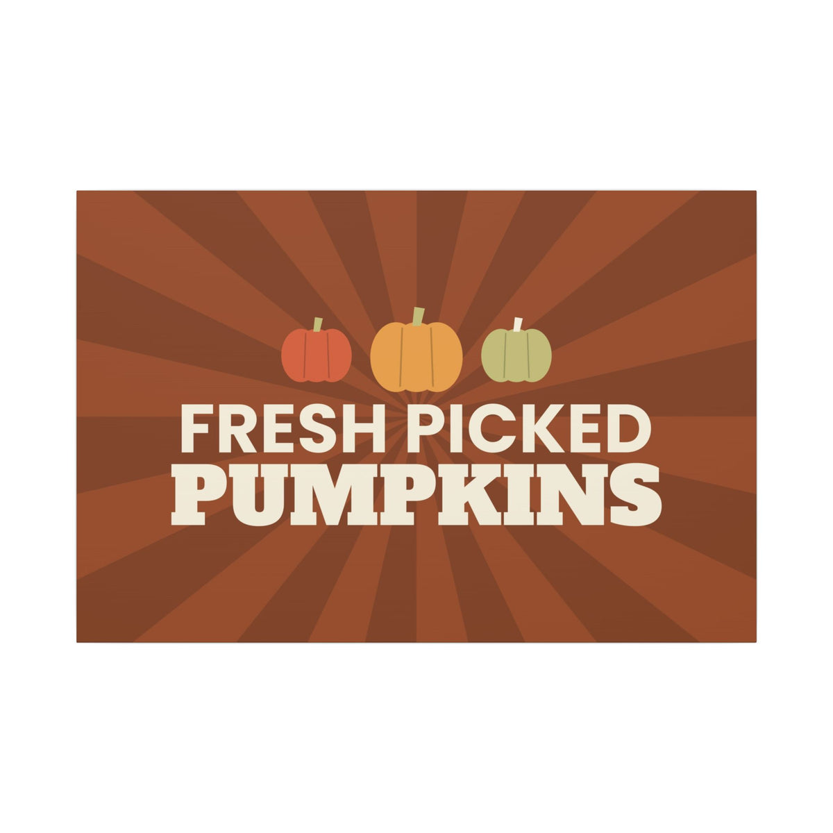 Fresh Picked Pumpkins Canvas