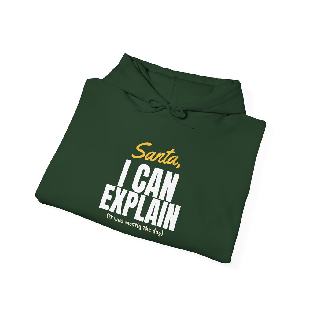 Santa I Can Explain Christmas Hoodie – Christmas gift, photo 18