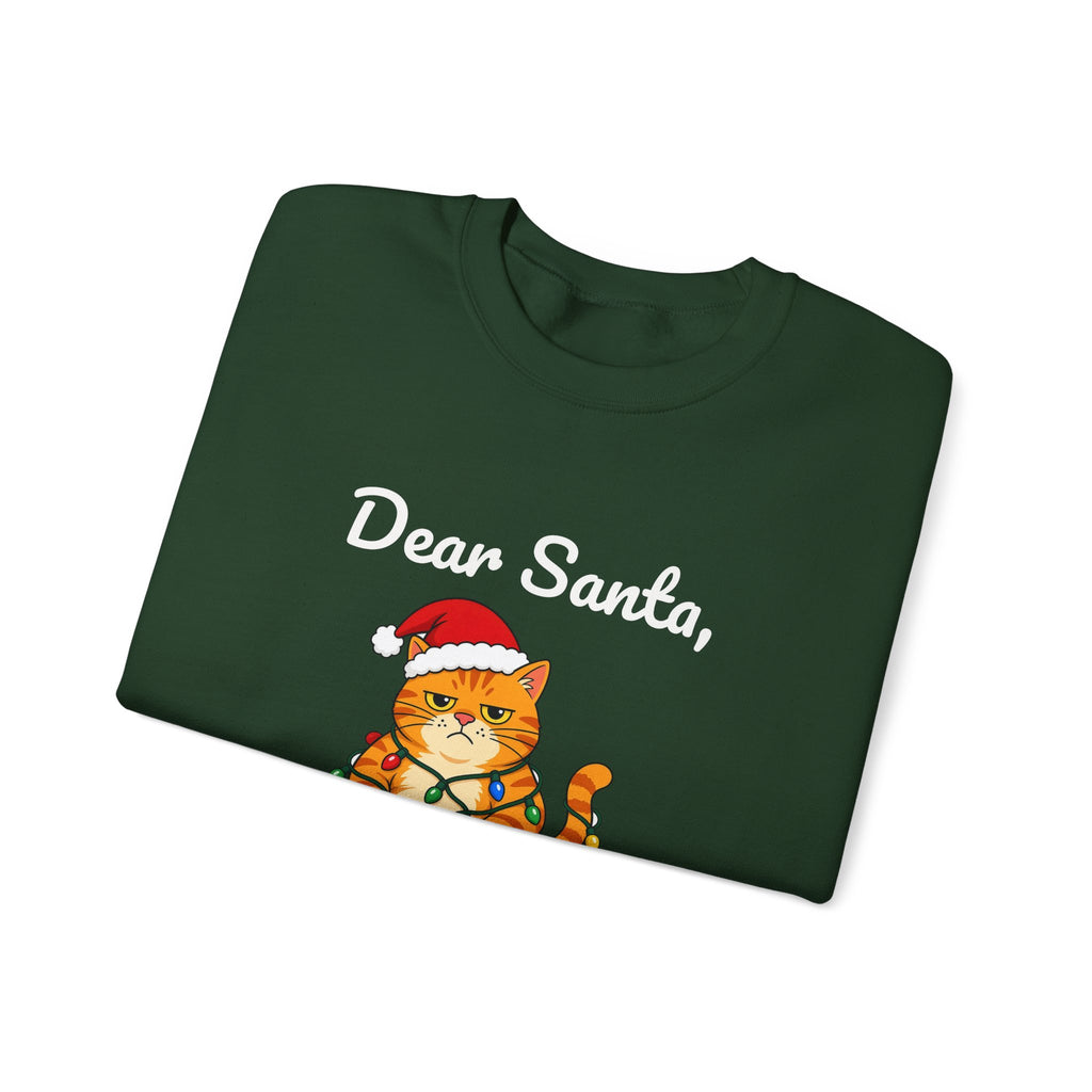 Dear Santa The Cat Did It Sweatshirt