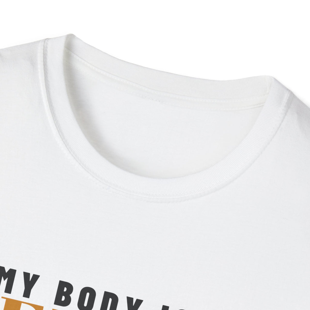 My Body Is A Temple Ancient And Crumbling T-Shirt – Gifted Porch, view 4