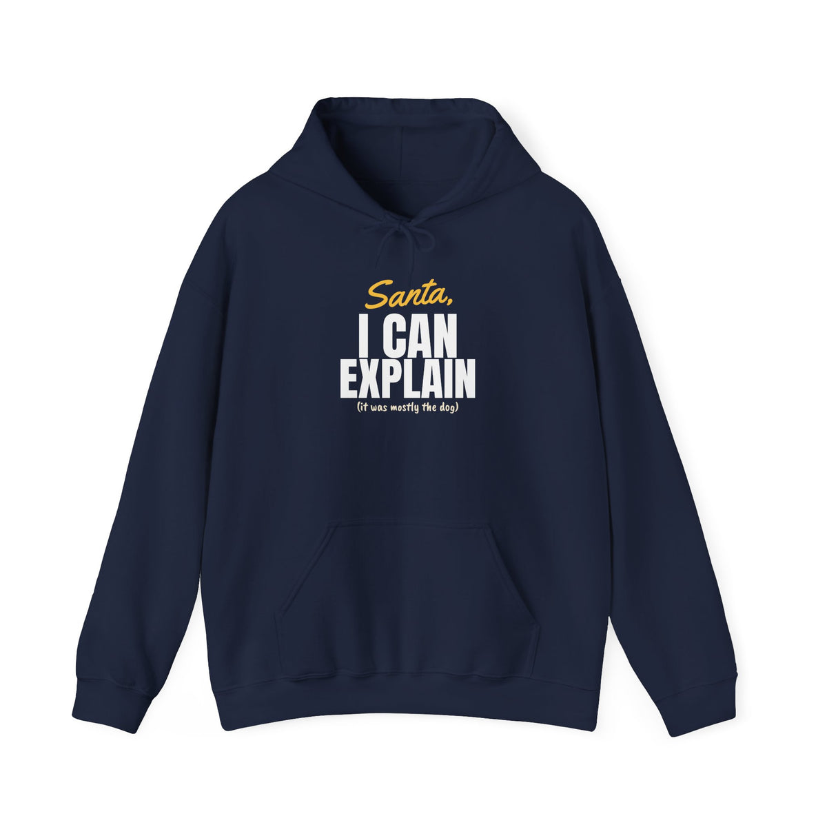 Santa I Can Explain Christmas Hoodie
