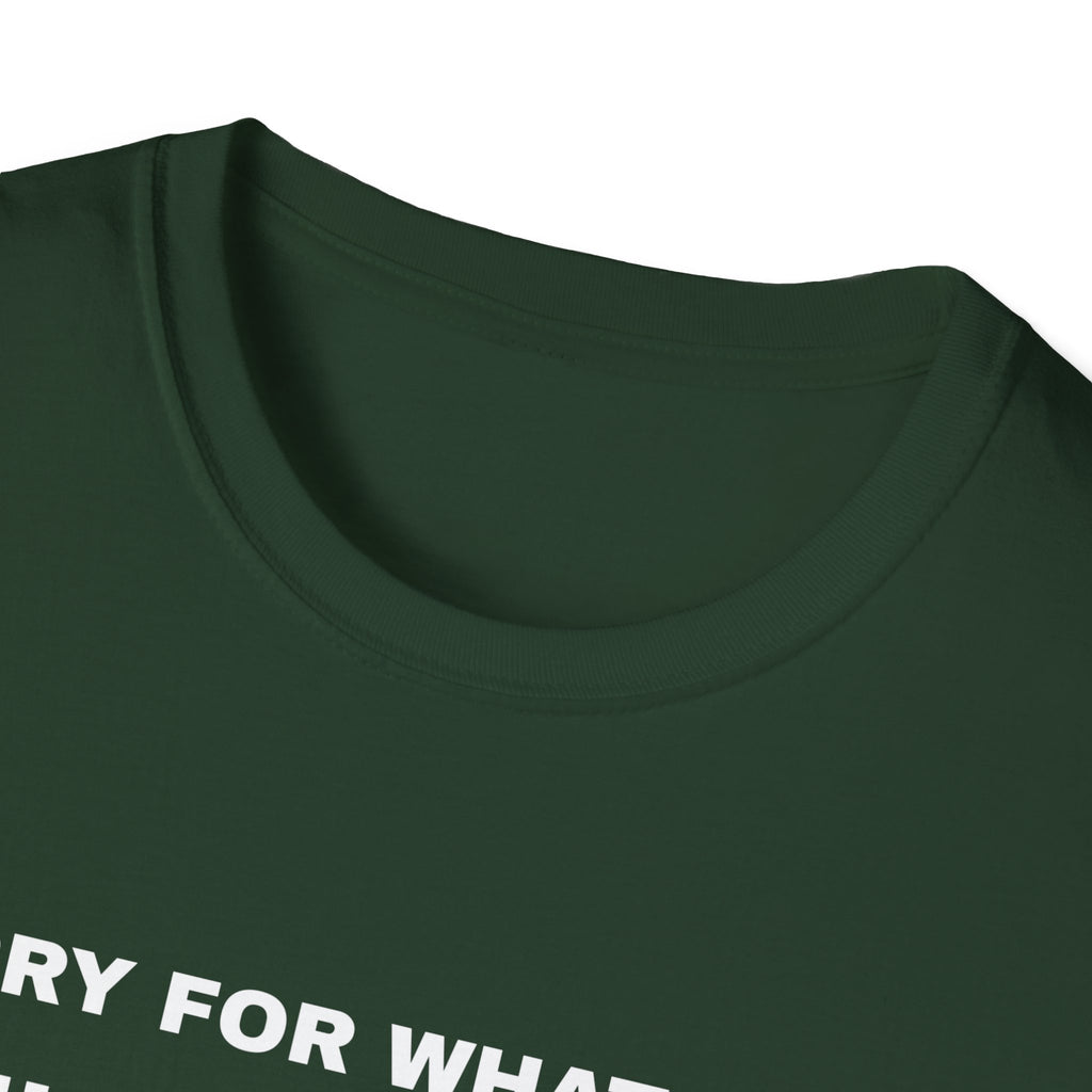 Sorry For What I Said While Assembling The Toys Shirt – Gifted Porch, view 13