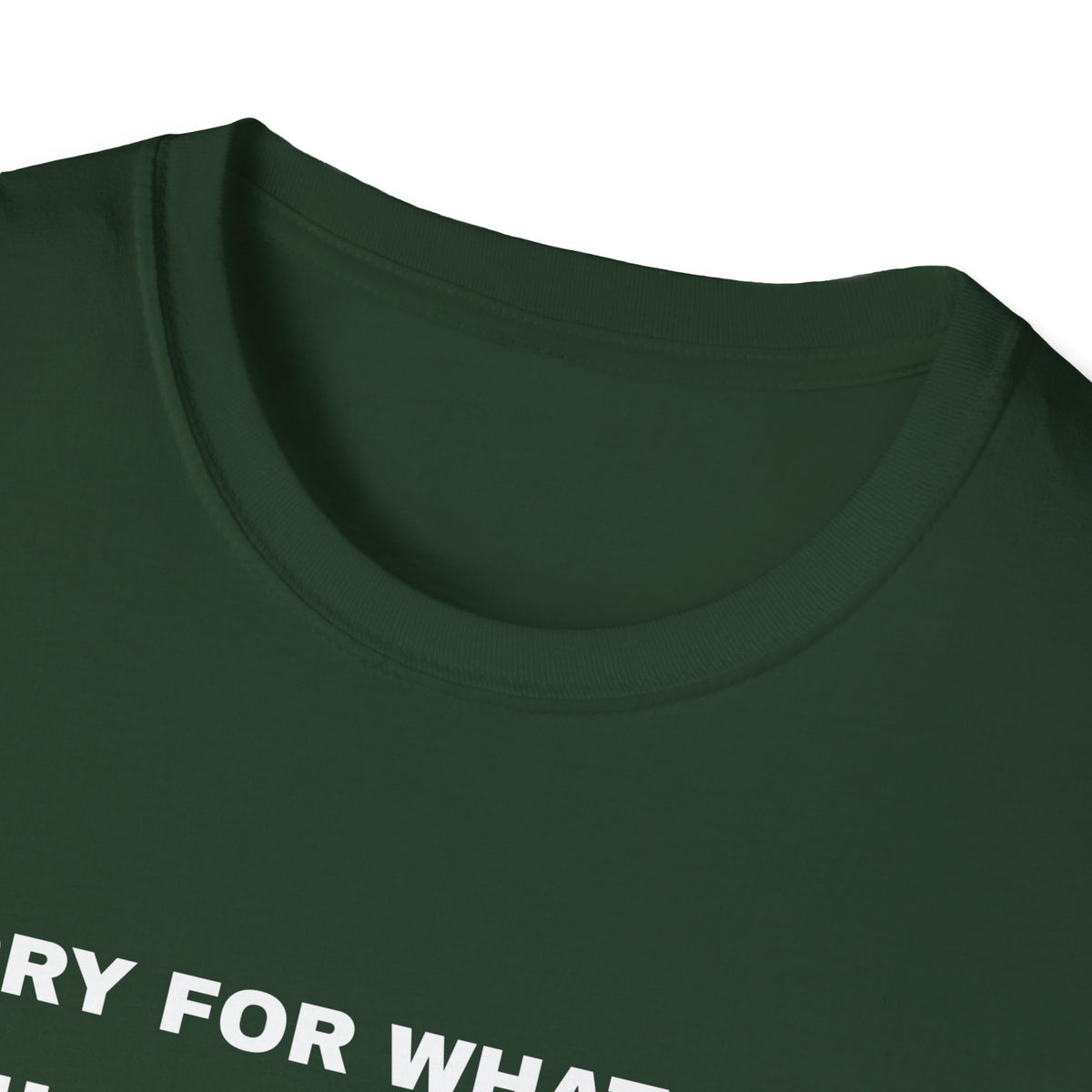 Sorry For What I Said While Assembling The Toys Shirt – Gifted Porch, view 13