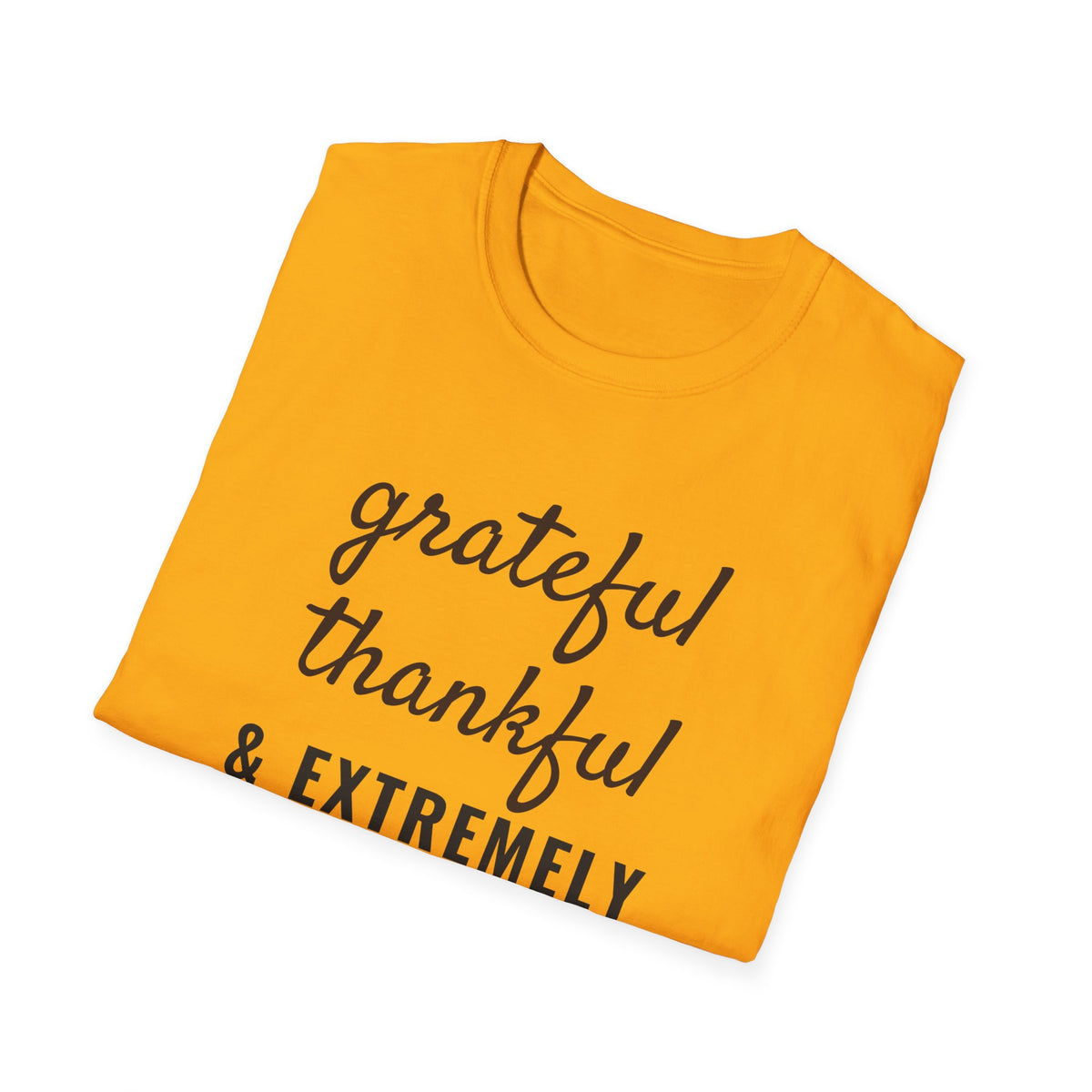 Grateful Thankful And Extremely Full Thanksgiving T-Shirt – Gifted Porch, view 15