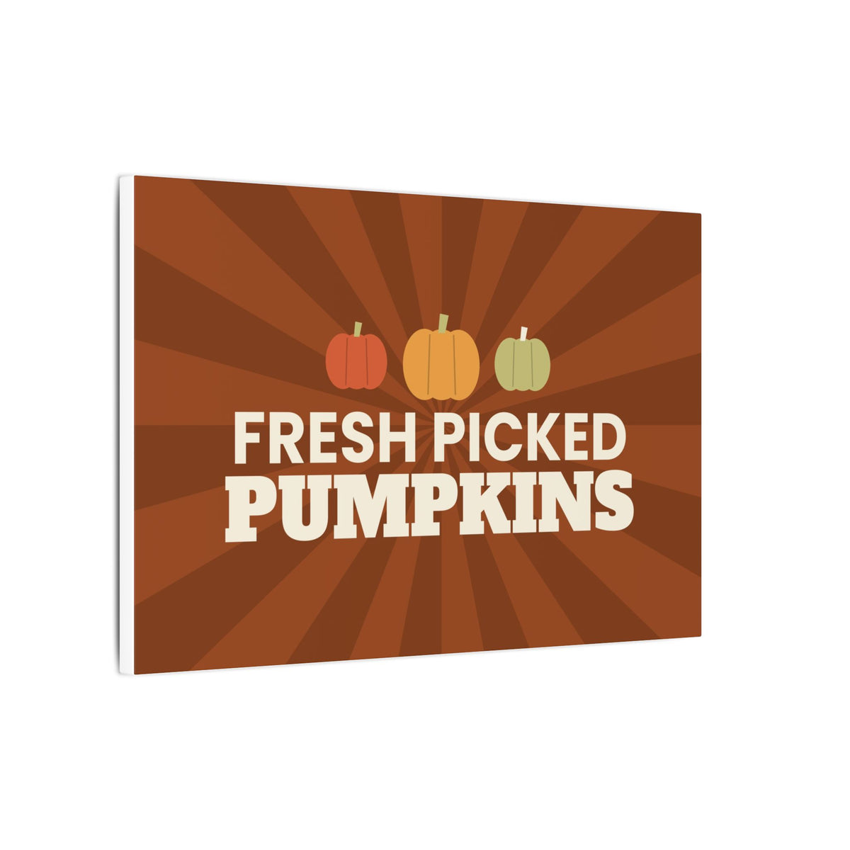 Fresh Picked Pumpkins Canvas