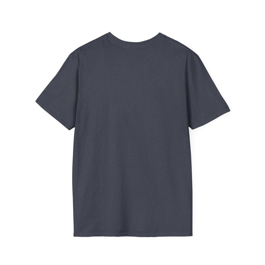 The Original 13 Colonial Flag Tee