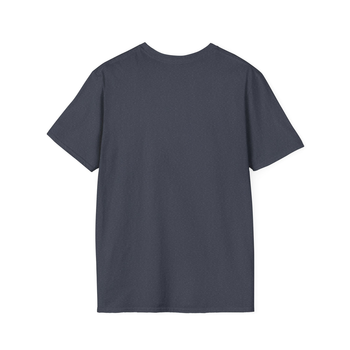 The Original 13 Colonial Flag Tee