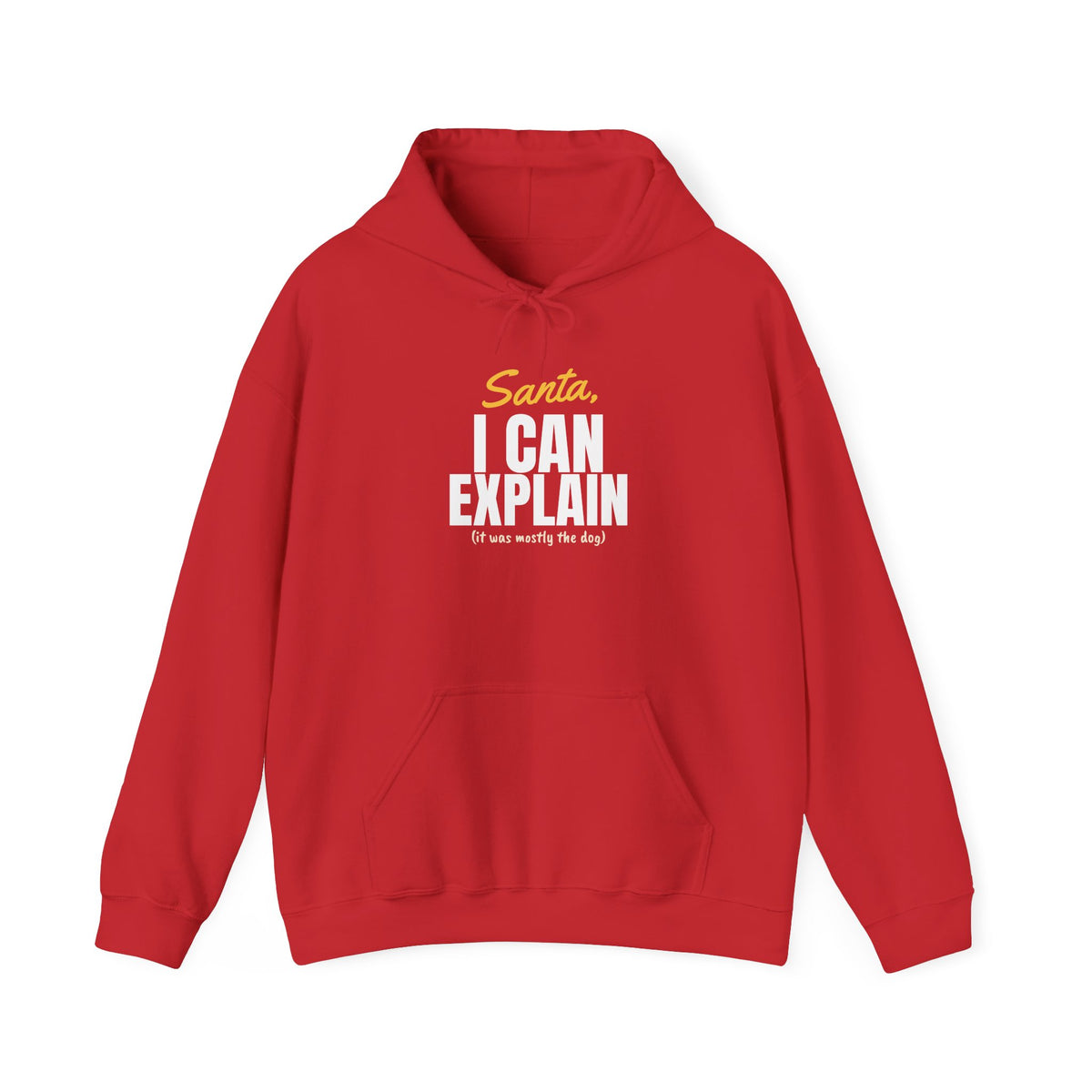 Santa I Can Explain Christmas Hoodie