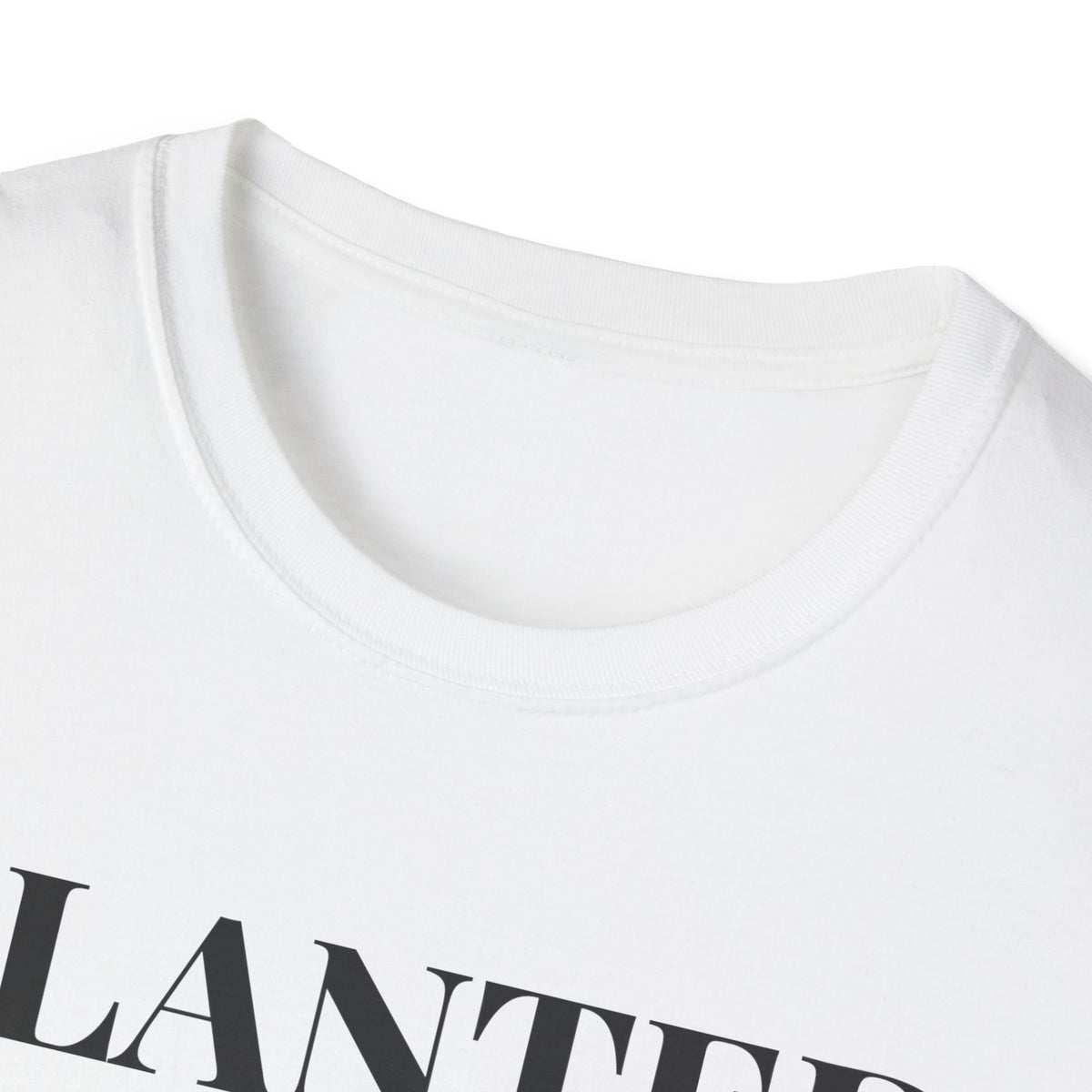 Planted In Faith Blooming In Grace Christian T-Shirt – Gifted Porch, view 4