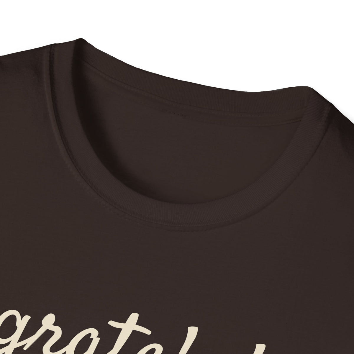 Grateful Thankful And Extremely Full Thanksgiving T-Shirt – Gifted Porch, view 23