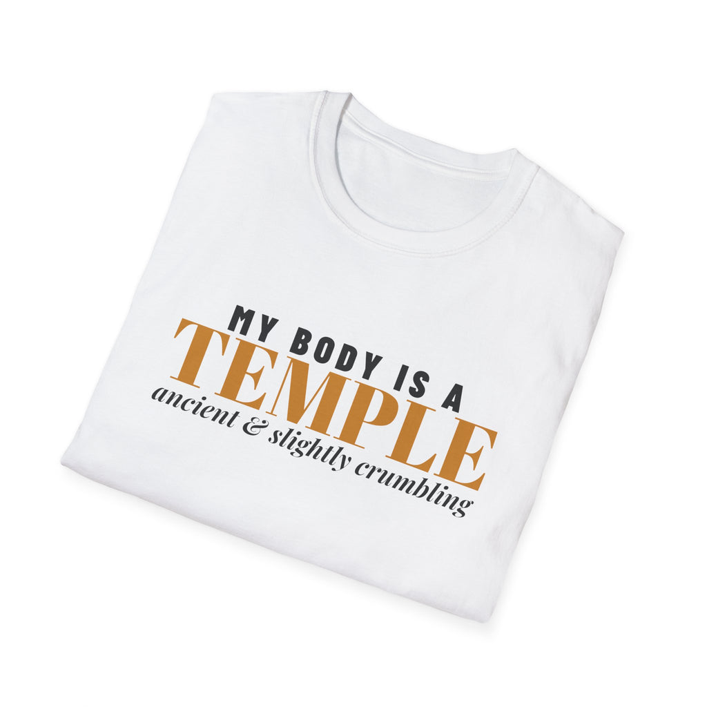 My Body Is A Temple Ancient And Crumbling T-Shirt – Gifted Porch, view 5