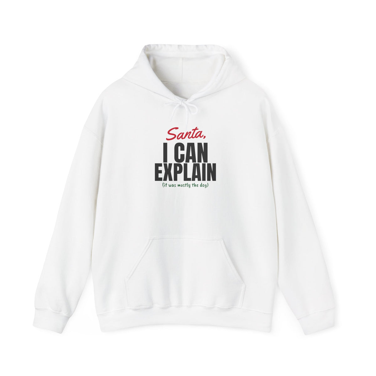 Santa I Can Explain Christmas Hoodie
