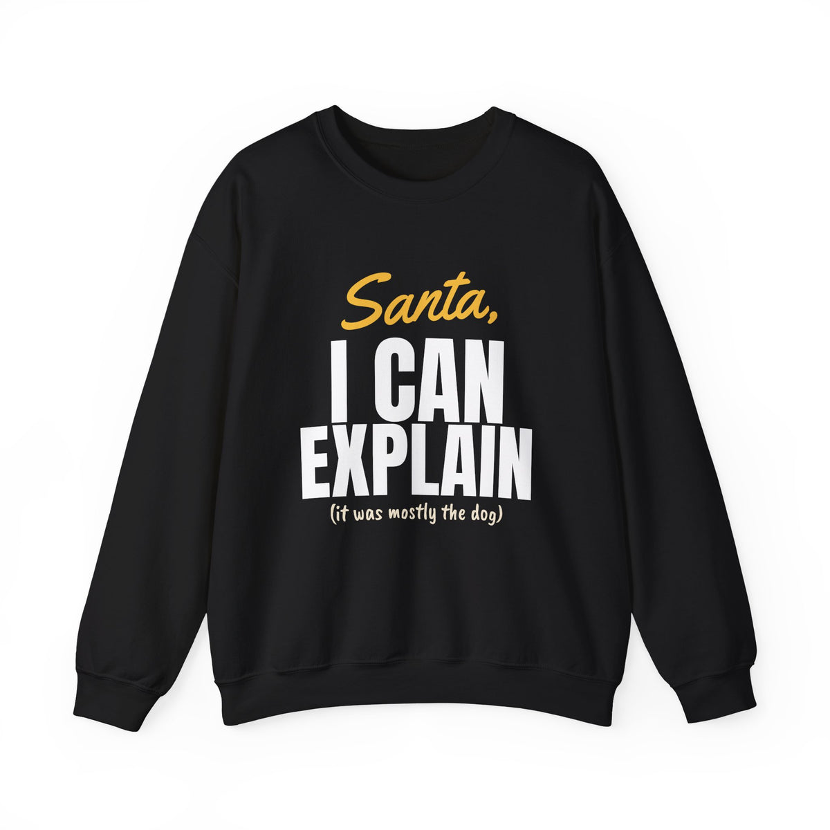 Santa I Can Explain Christmas Sweatshirt